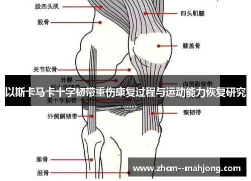 以斯卡马卡十字韧带重伤康复过程与运动能力恢复研究 以斯卡马卡十字韧带重伤康复过程与运动能力恢复研究