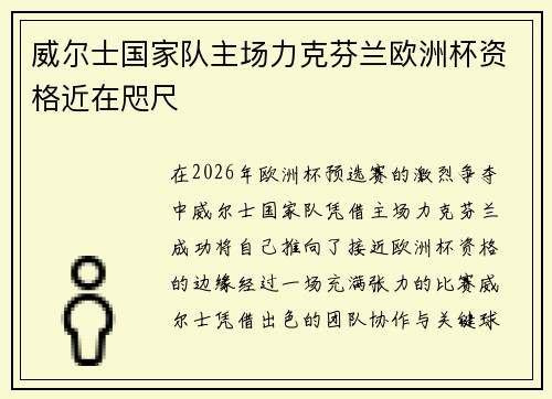 威尔士国家队主场力克芬兰欧洲杯资格近在咫尺